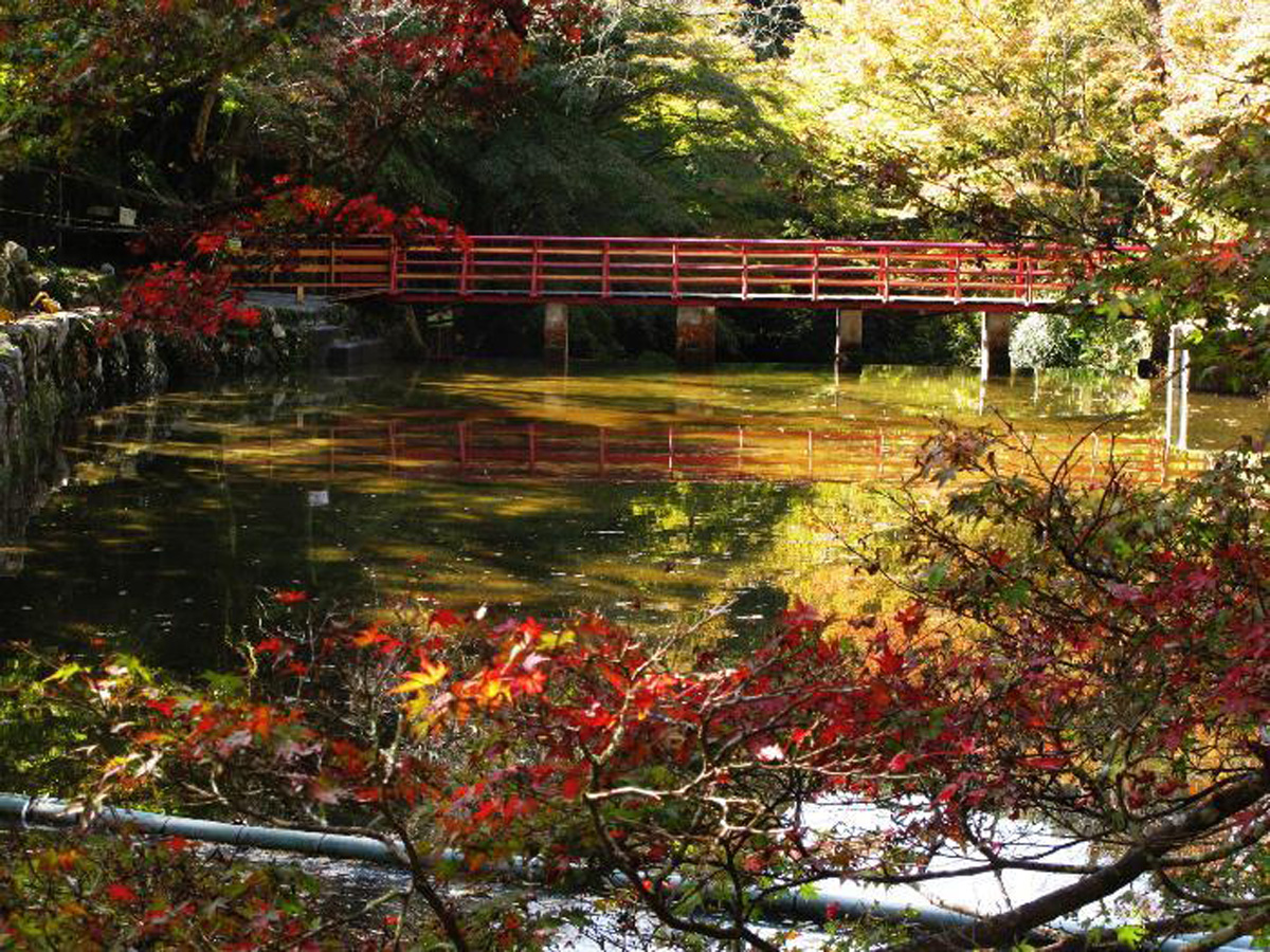 爱知高原国定公园・岩屋堂公园