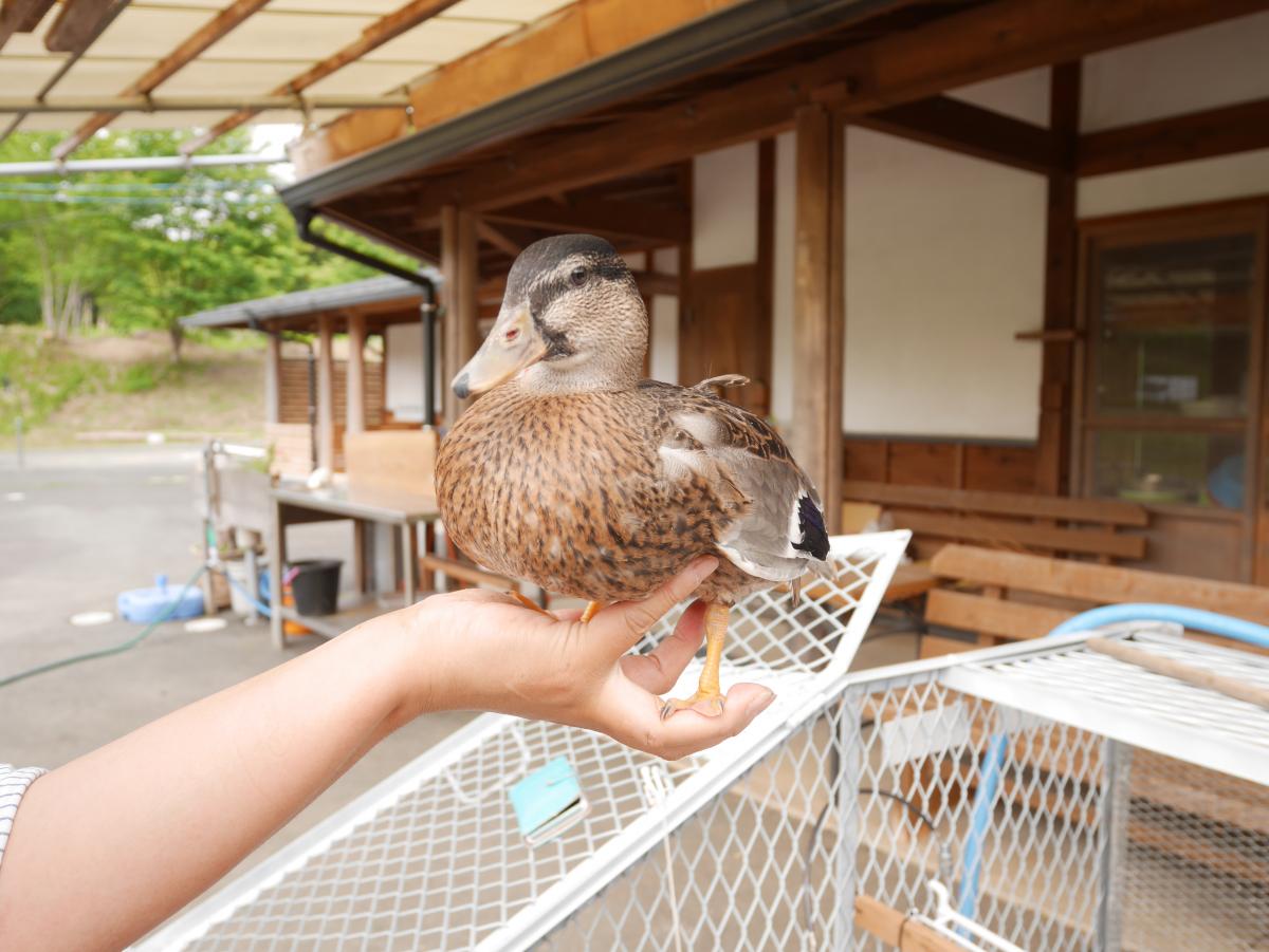 Tsukude Tezukuri Mura Rest Stop