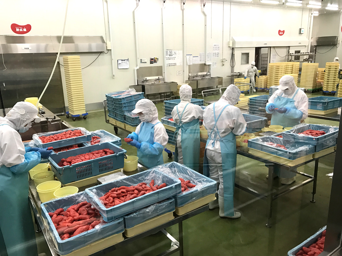 멘타이 파크 도코나메