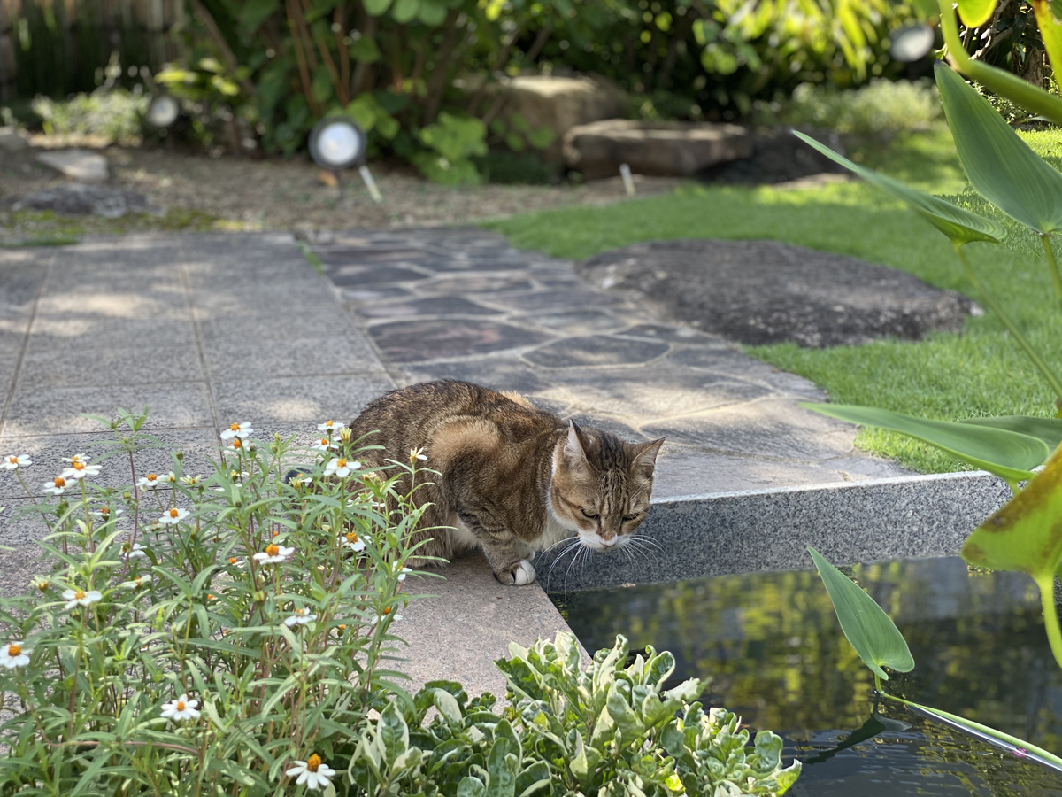 Cultural Path Hyakka Hyakuso