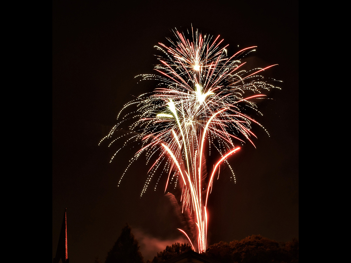 リトルワールドナイト