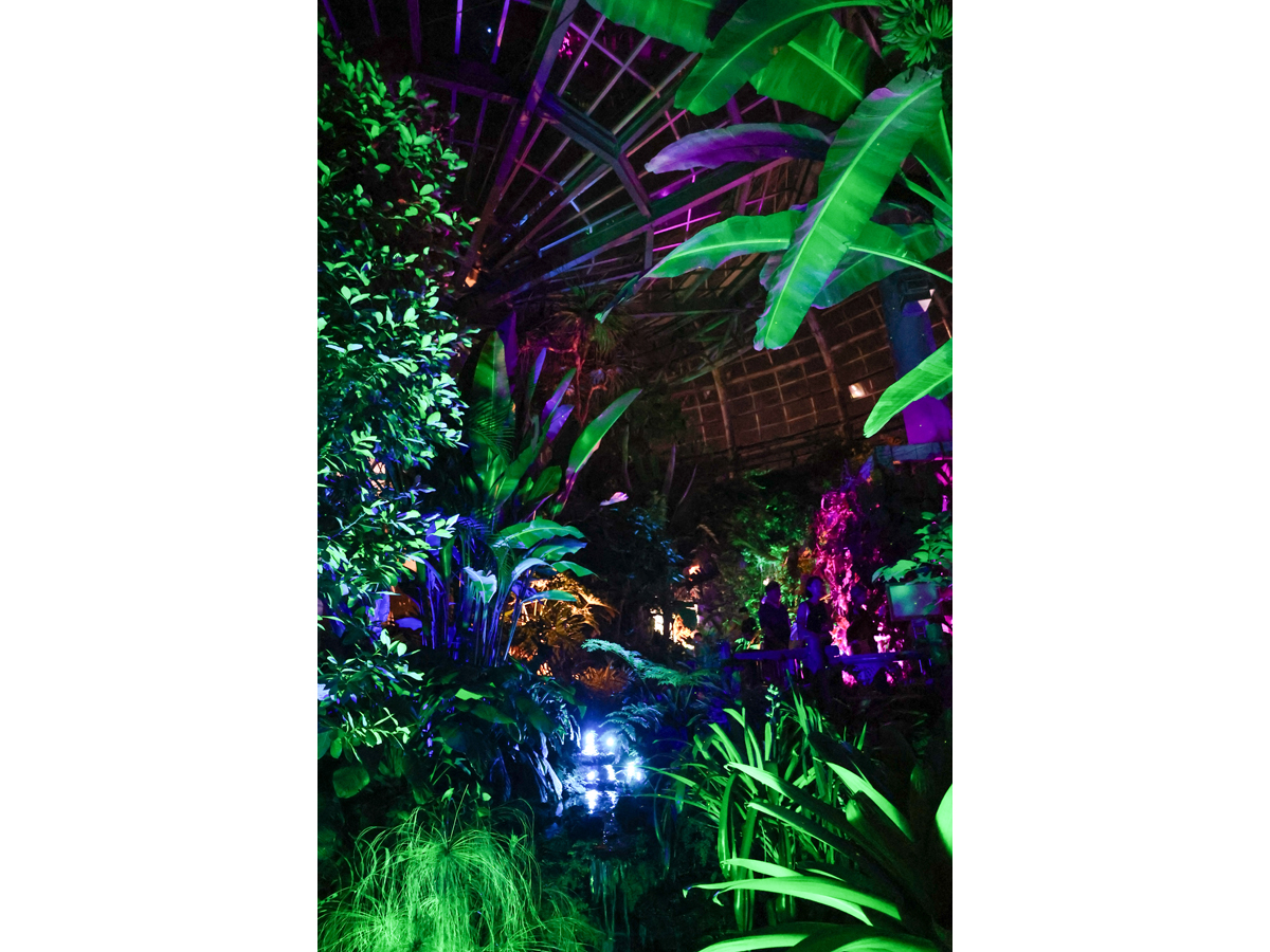 Non Hoi Park Night Zoo