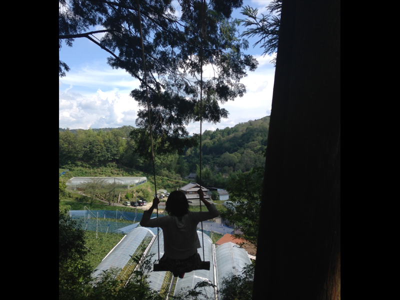 Okazaki Komadachi Grape Picking 