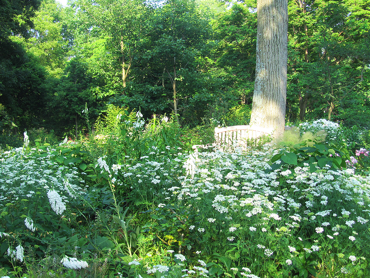 Toyohashi Zoo & Botanical Park (Non Hoi Park)