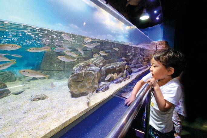 碧南海浜水族館