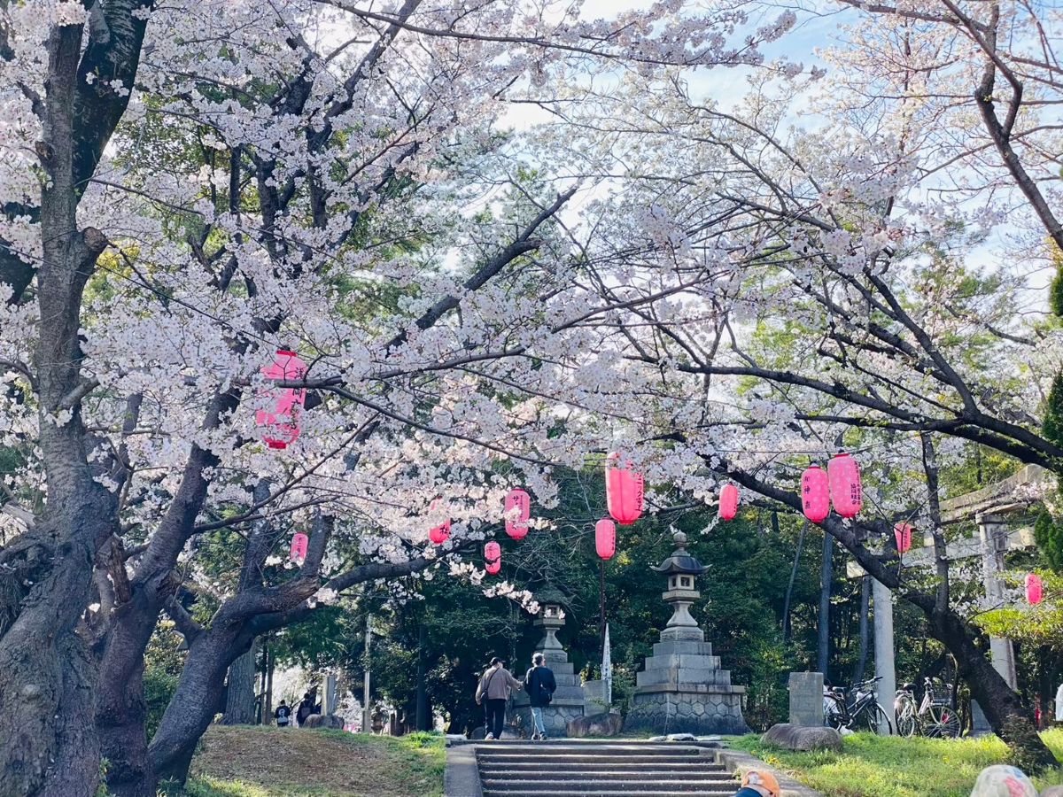 桜色のオニマルシェ