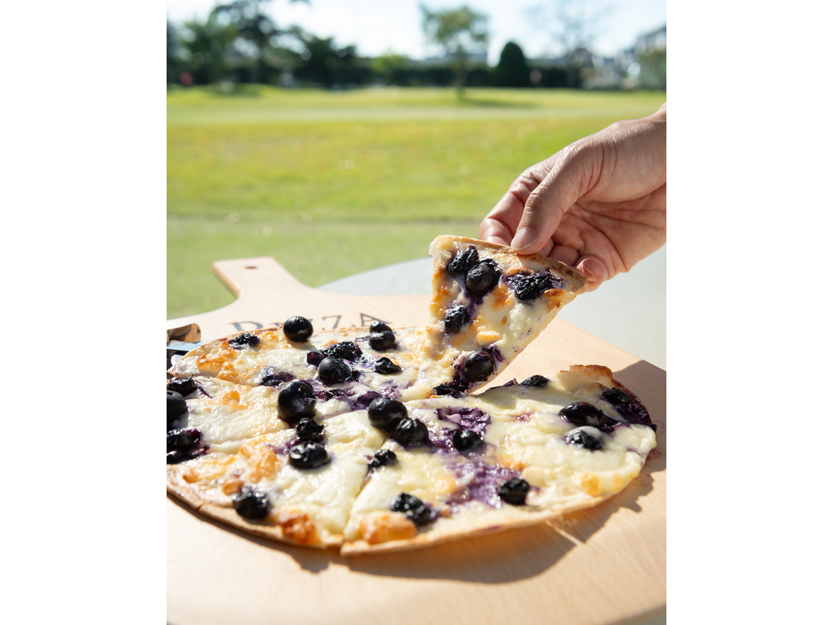 西尾ゴルフ　ブルーベリーファーム