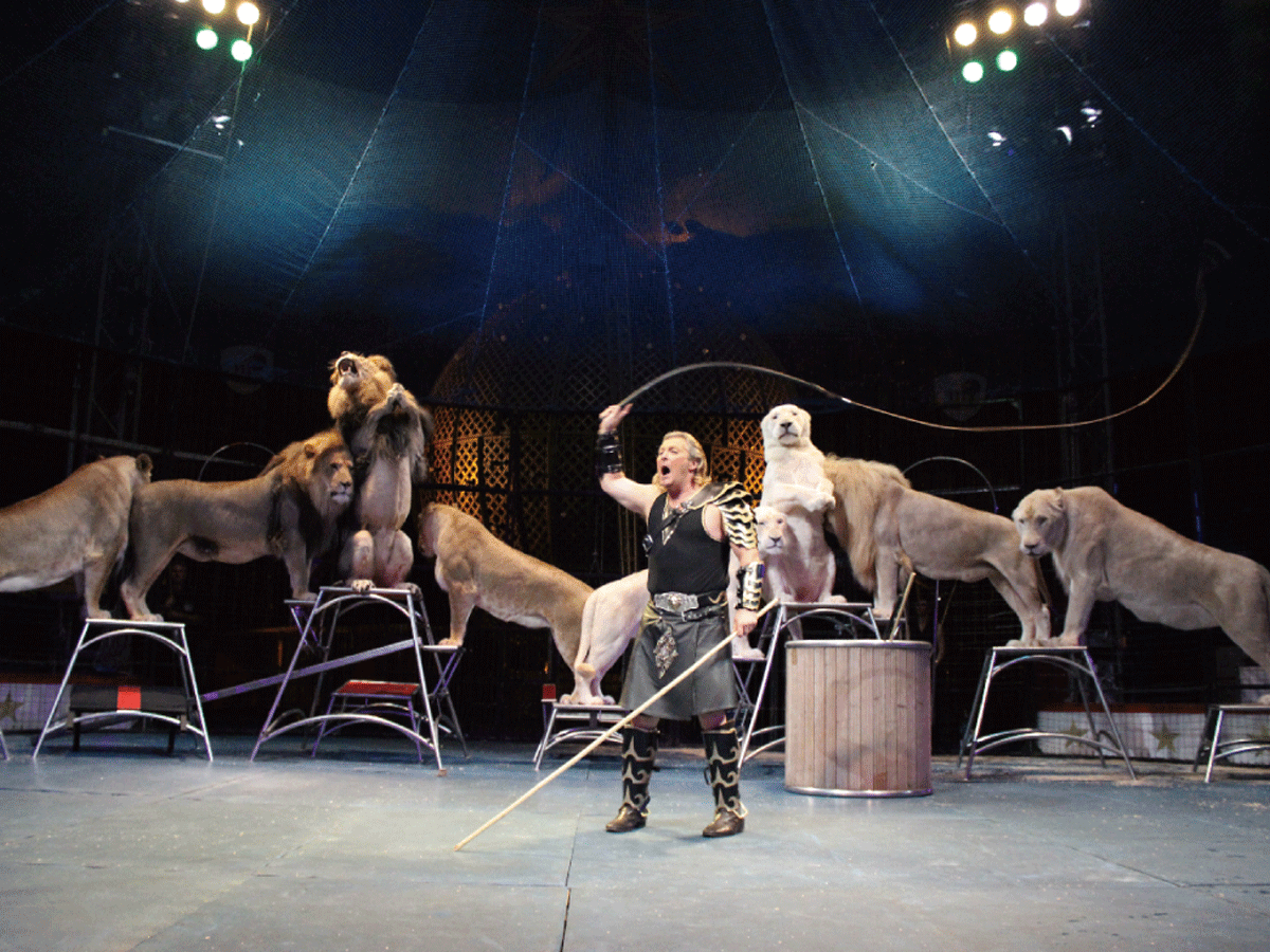 木下大サーカス