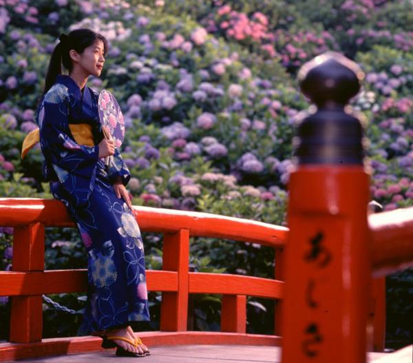 เทศกาลดอกไฮเดรนเยียที่คาทะฮาระ ออนเซ็น