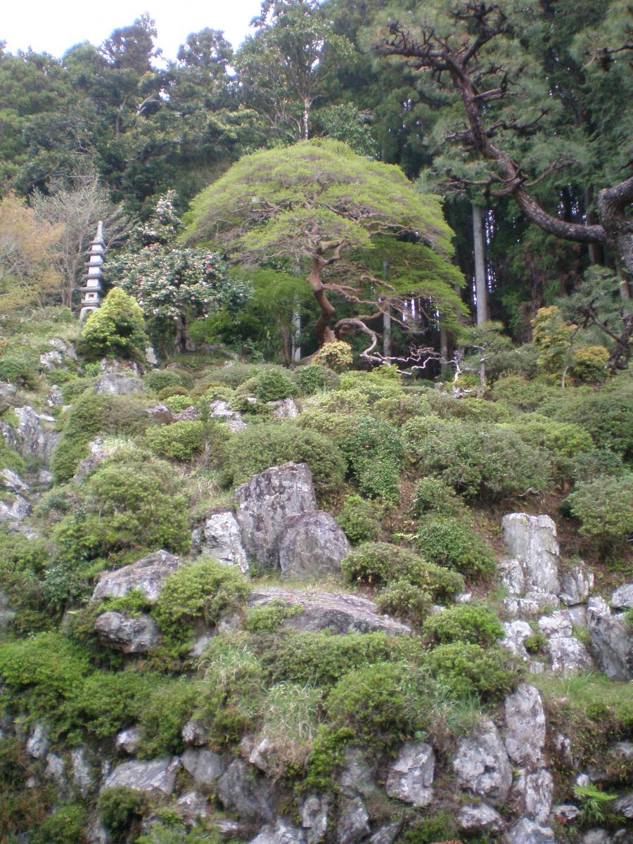 青龙山　满光寺