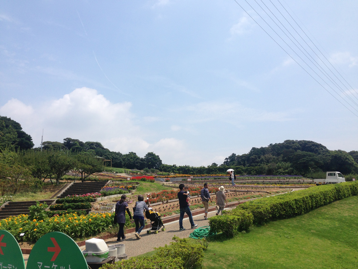 サンテパルクたはら