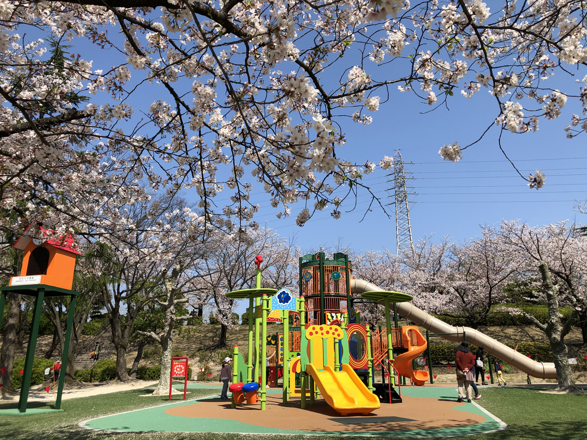 大池公園桜まつり