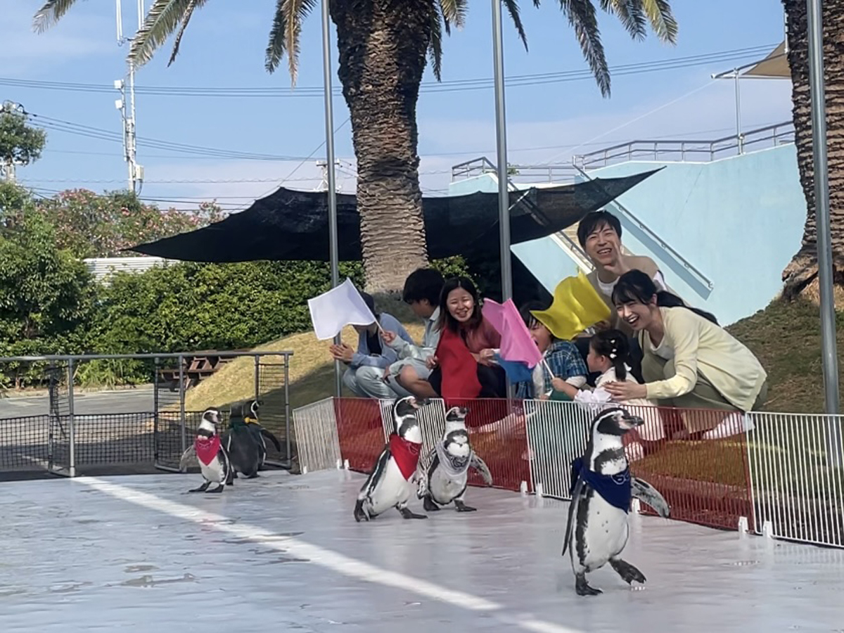 南知多ビーチランド45th　秋のイベント