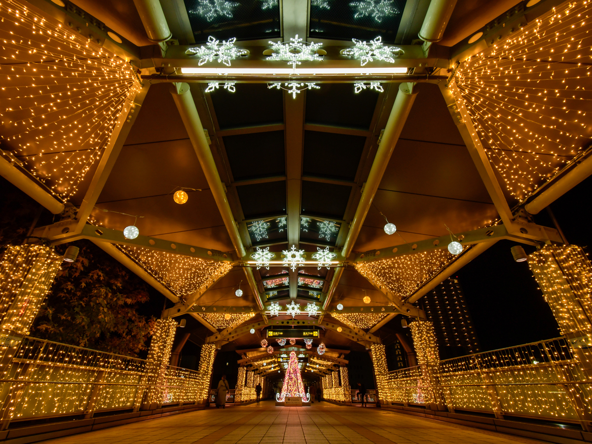 かりやストリートイルミネーション