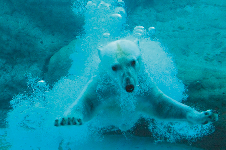 豐橋綜合動植物園(Nong hoi公園)