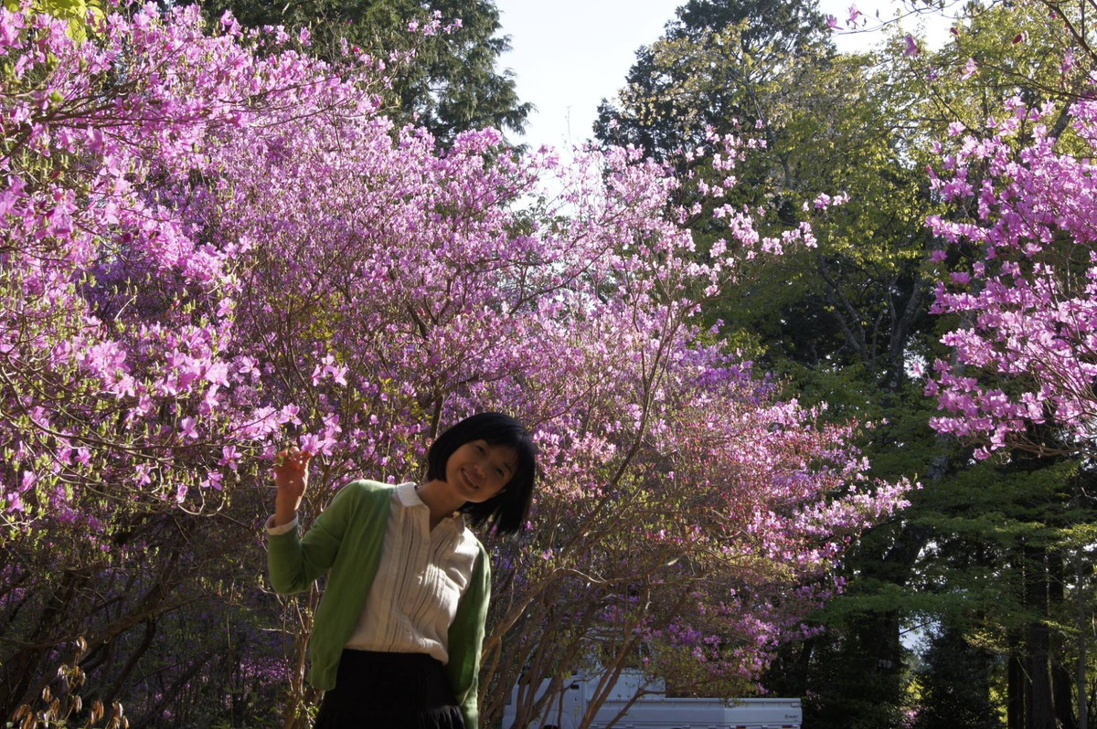 コバノミツバツツジまつり