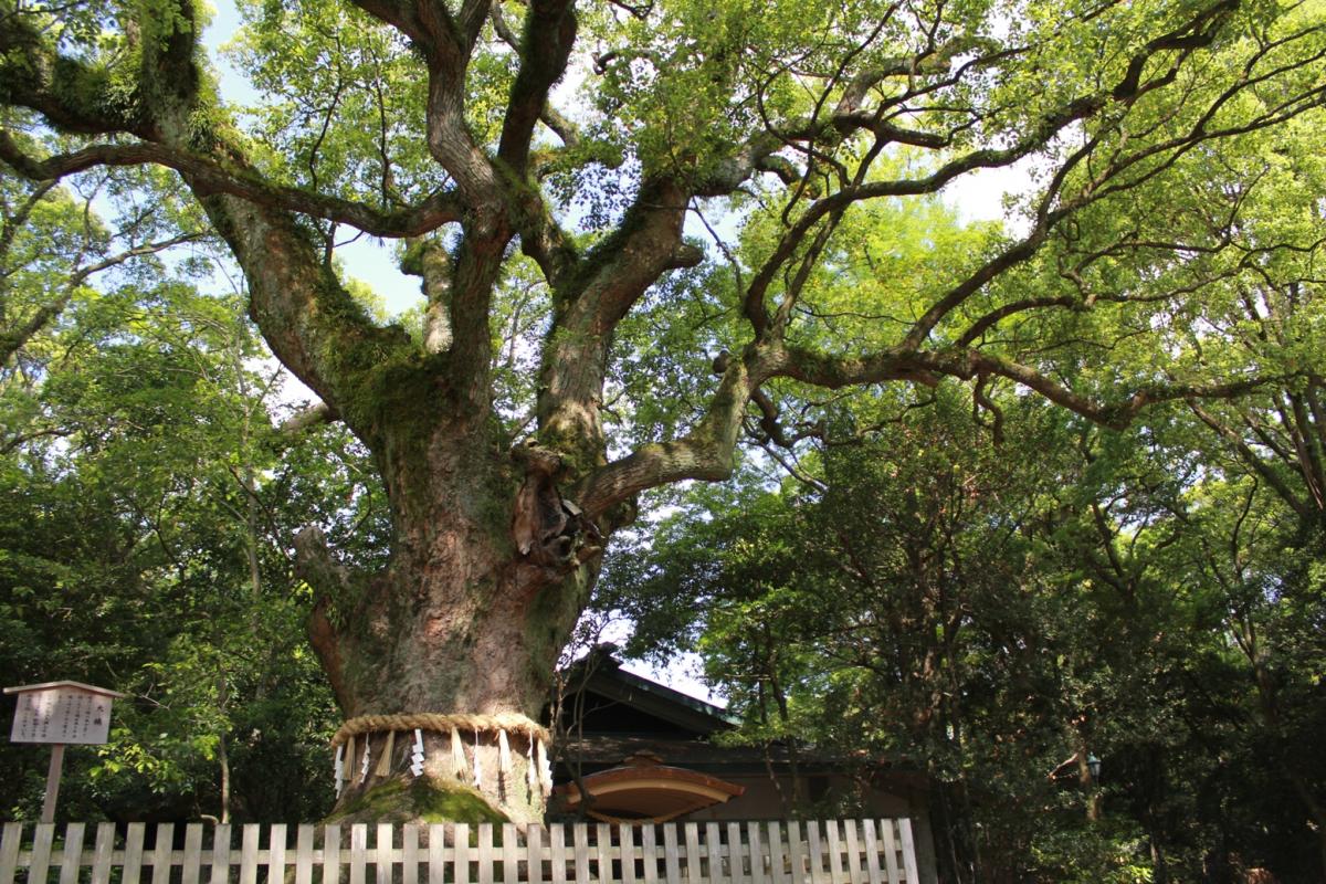Atsuta Jingu Shrine