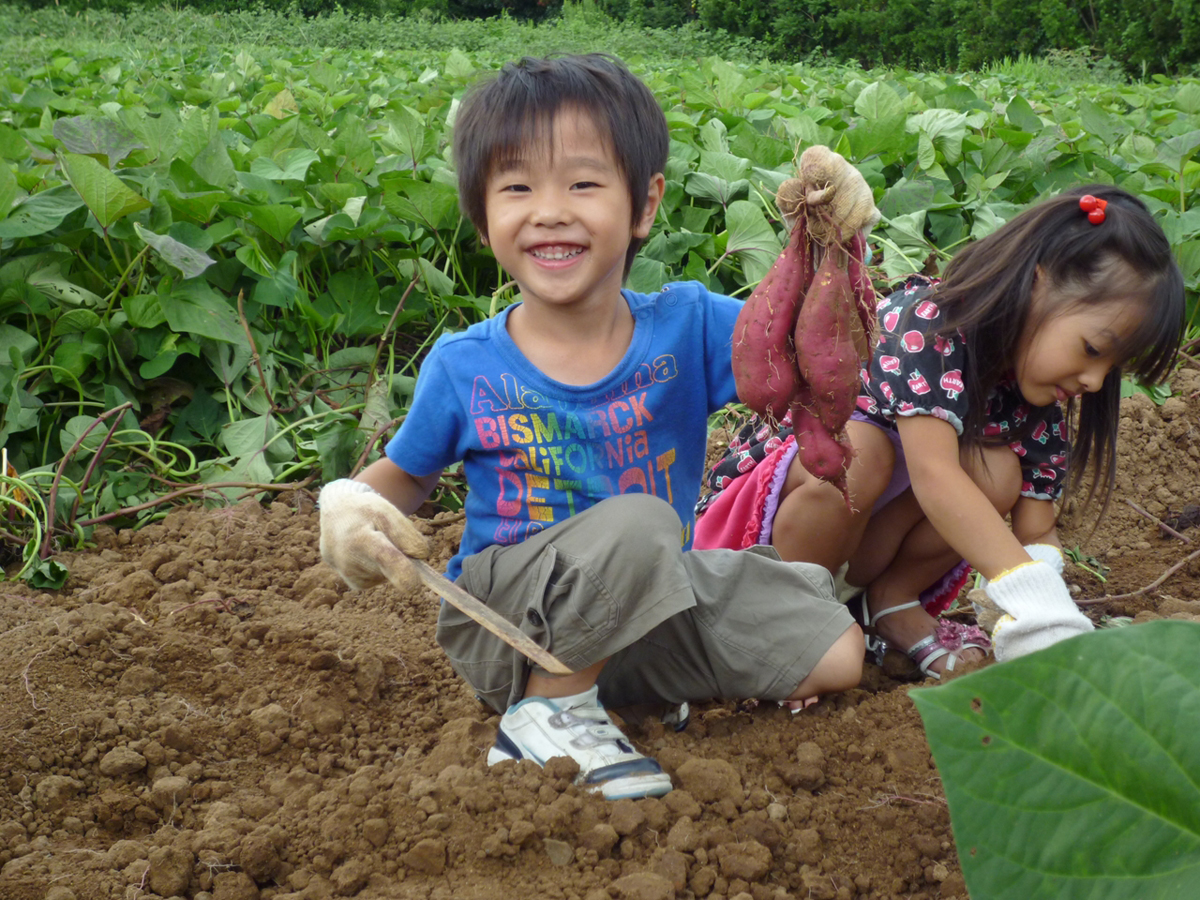ジョイフルファーム鵜の池
