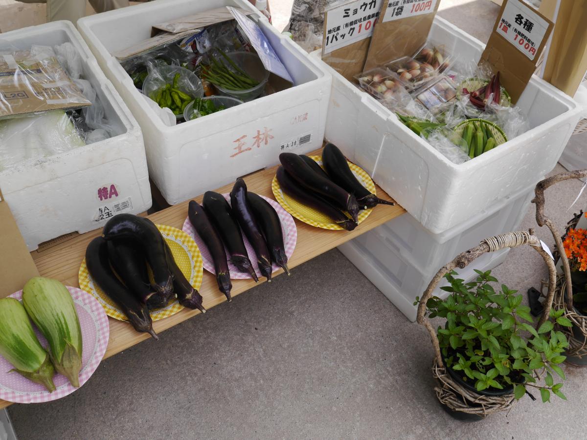 半田運河の蔵の市