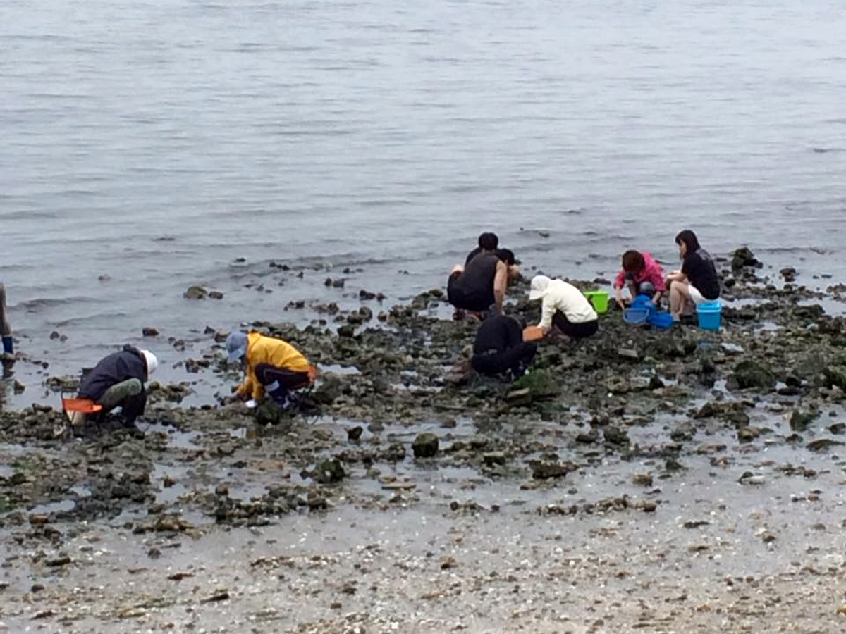 三谷温泉海岸　潮干狩り