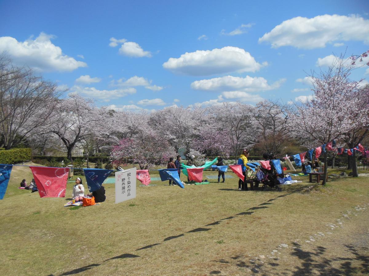 平戸橋桜まつり