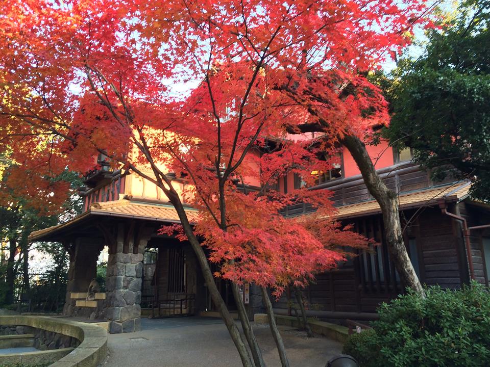 《역사와 문화의 관》요키소