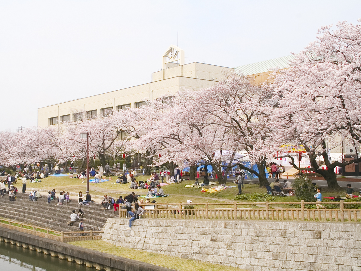 やとみ桜まつり