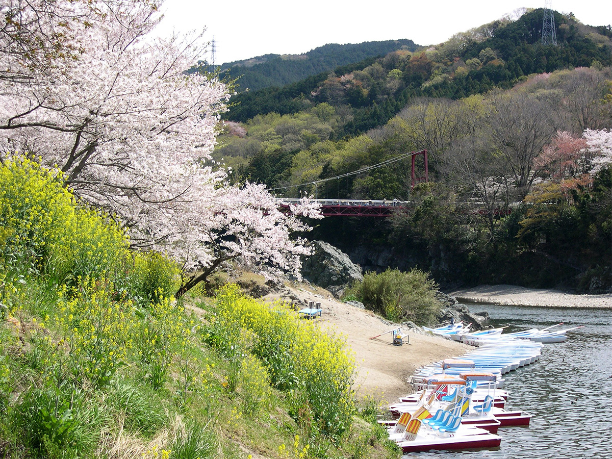 新城さくらまつり