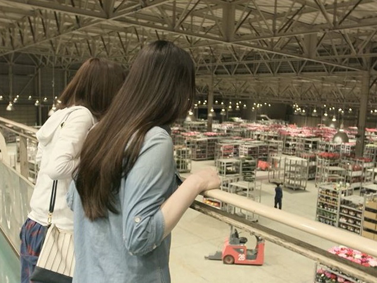 愛知豊明花き地方卸売市場