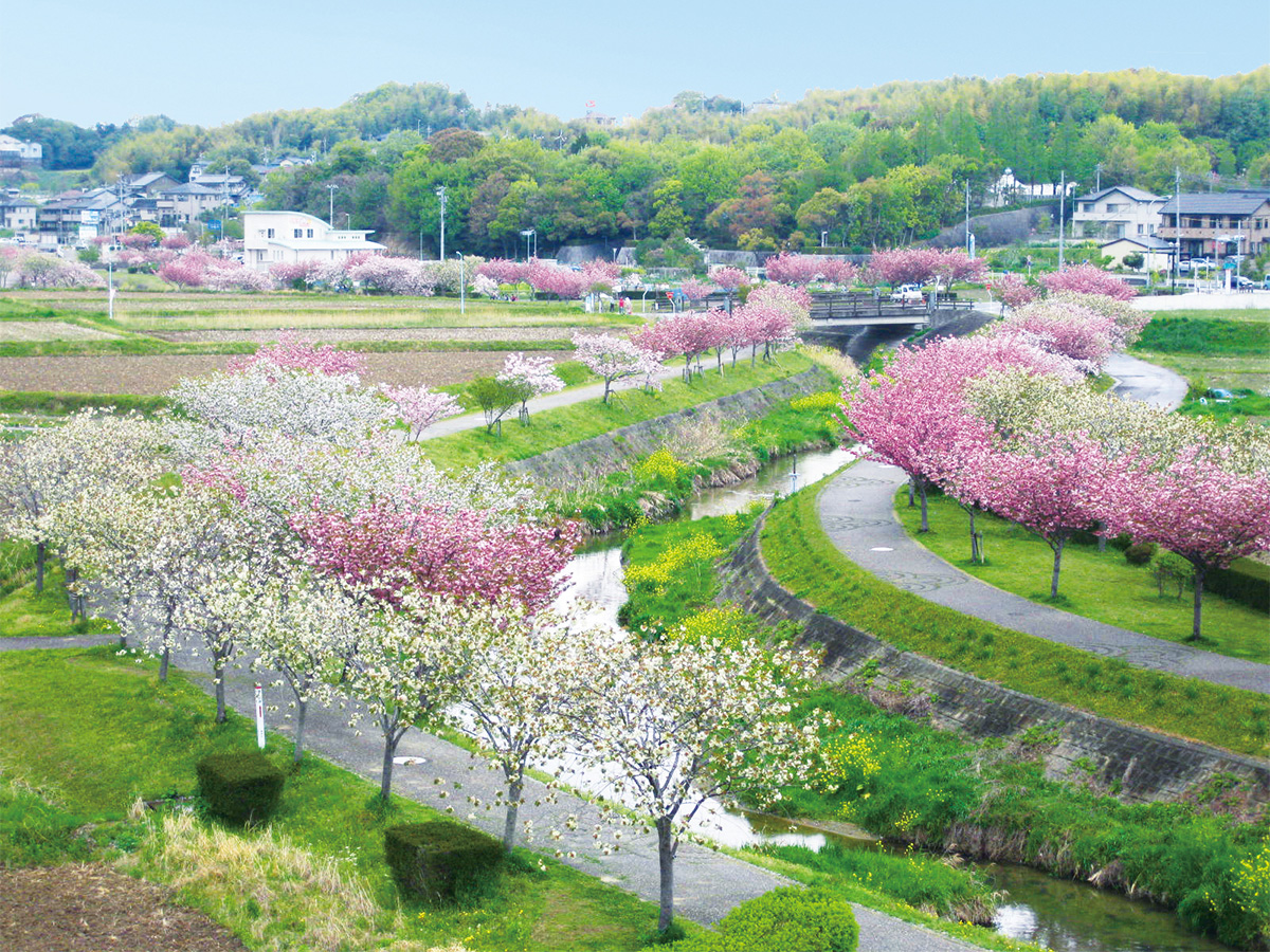 ブラアイチ in 東浦