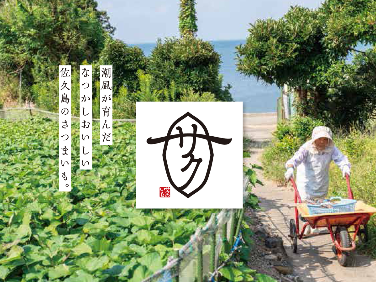 佐久島嚐遍佐久紅薯活動