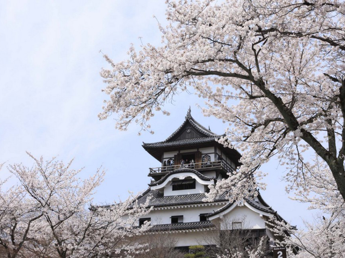 National Treasure Inuyama Castle