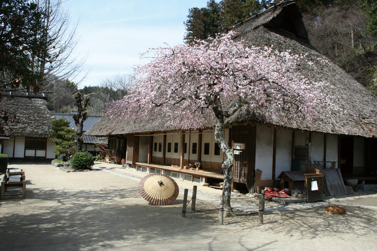 산슈 아스케 야시키