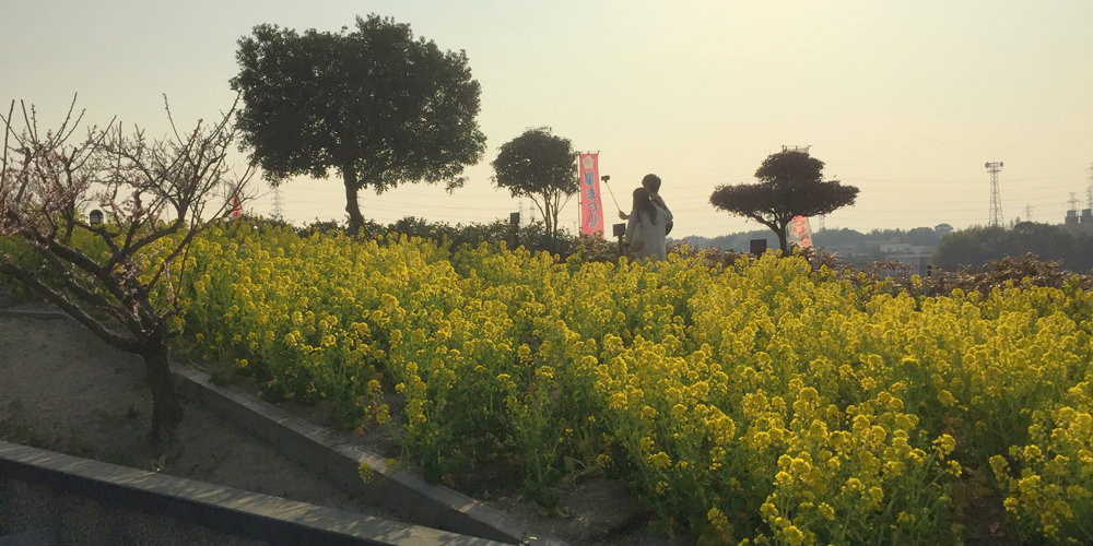 เทศกาลดอกบ๊วยที่สระโซริ ครั้งที่ 34