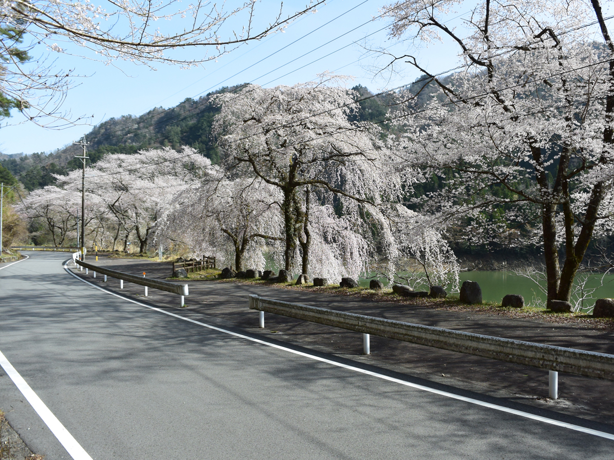 新丰根水库（绿湖）