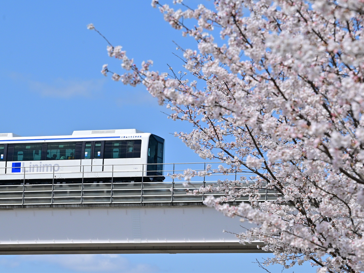 リニモ早春ウォーキング