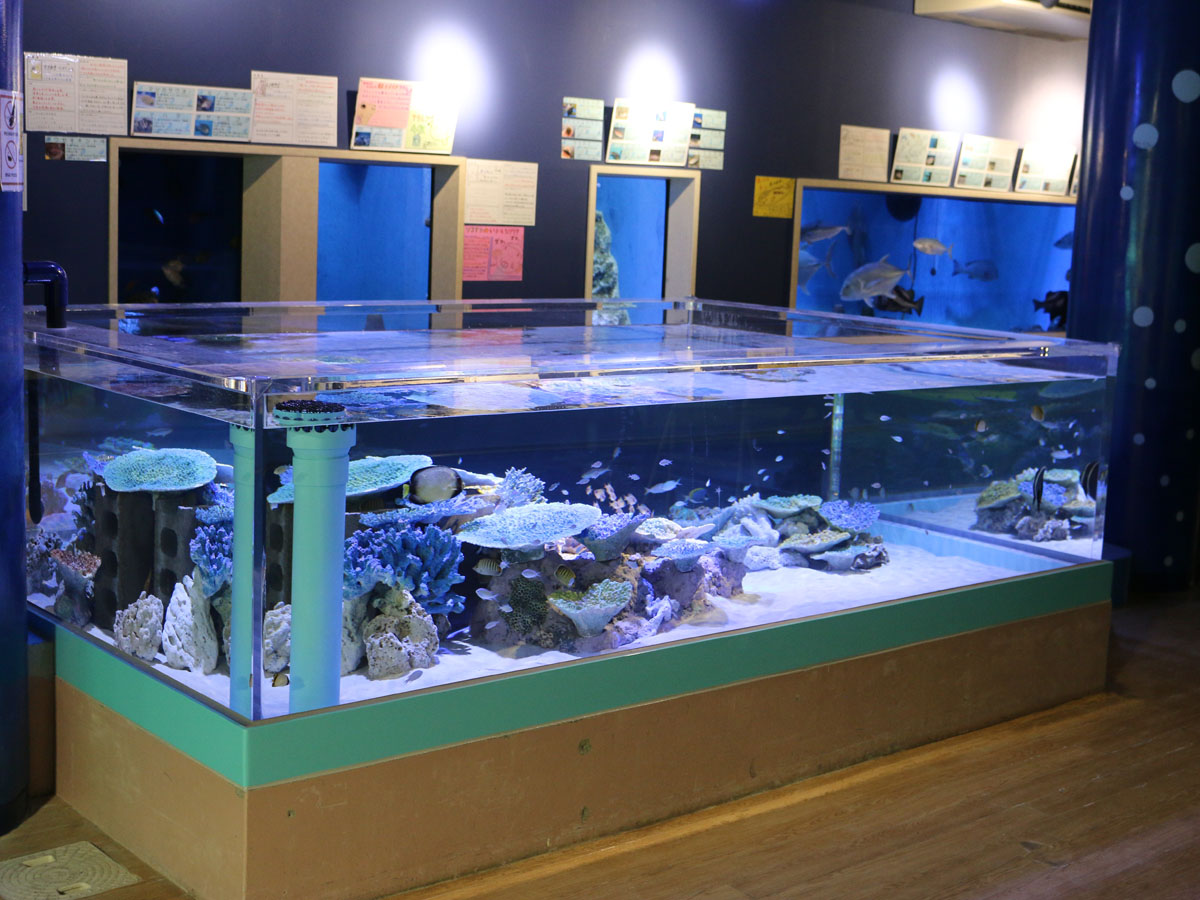 다케시마 수족관