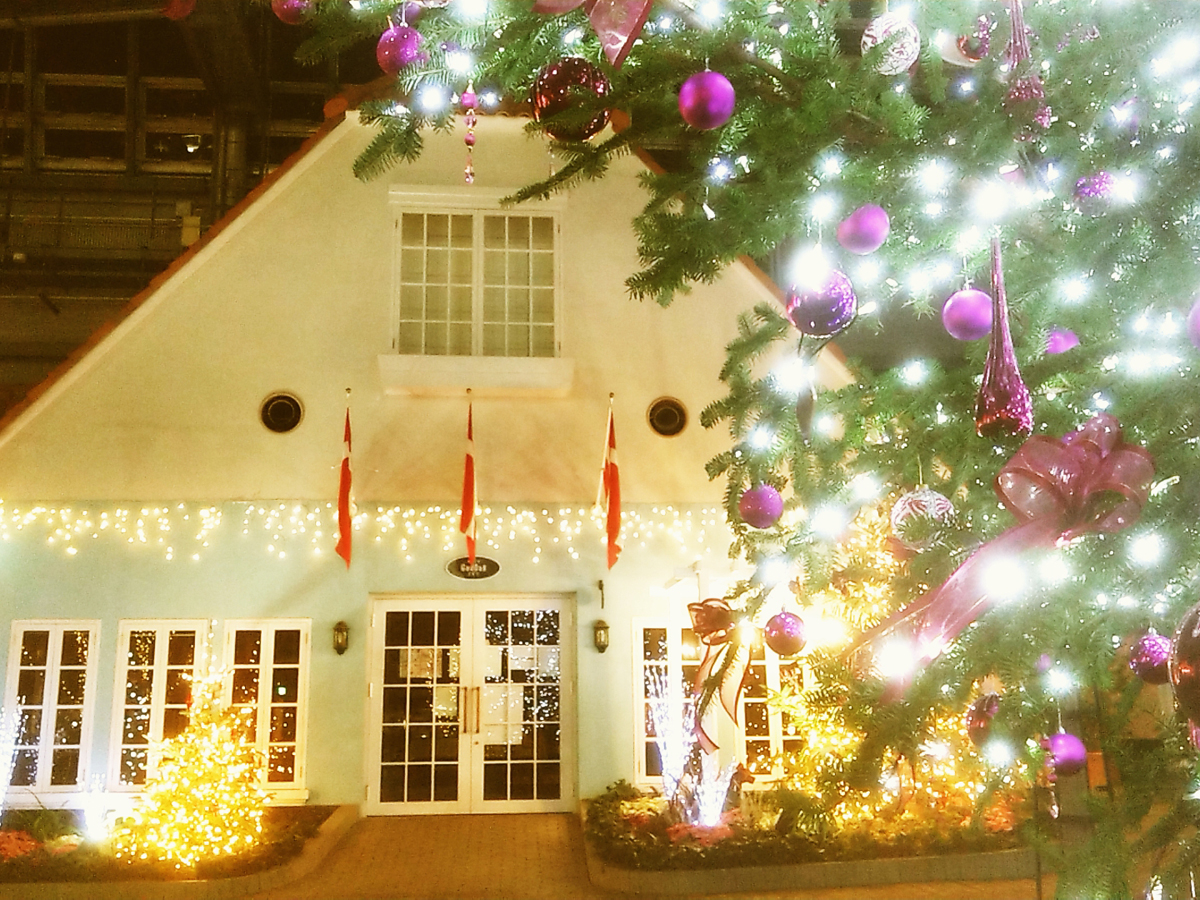 丹麦公园冬季节日