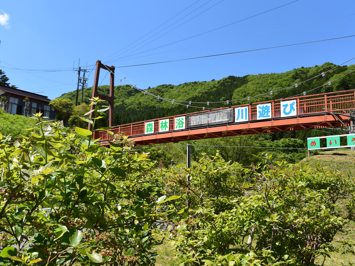 グリーンステージ花の木