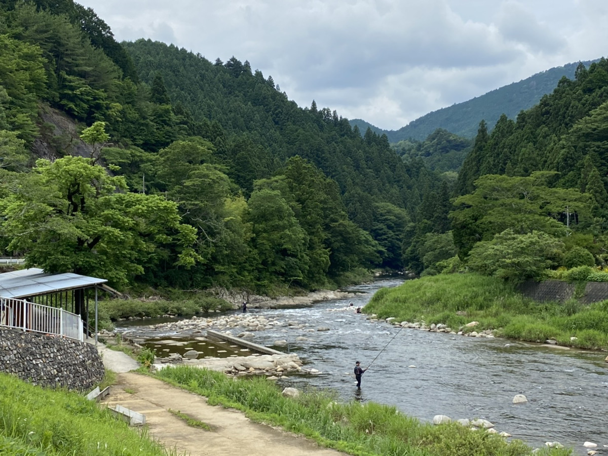 寒狭川上流　あゆ釣り解禁