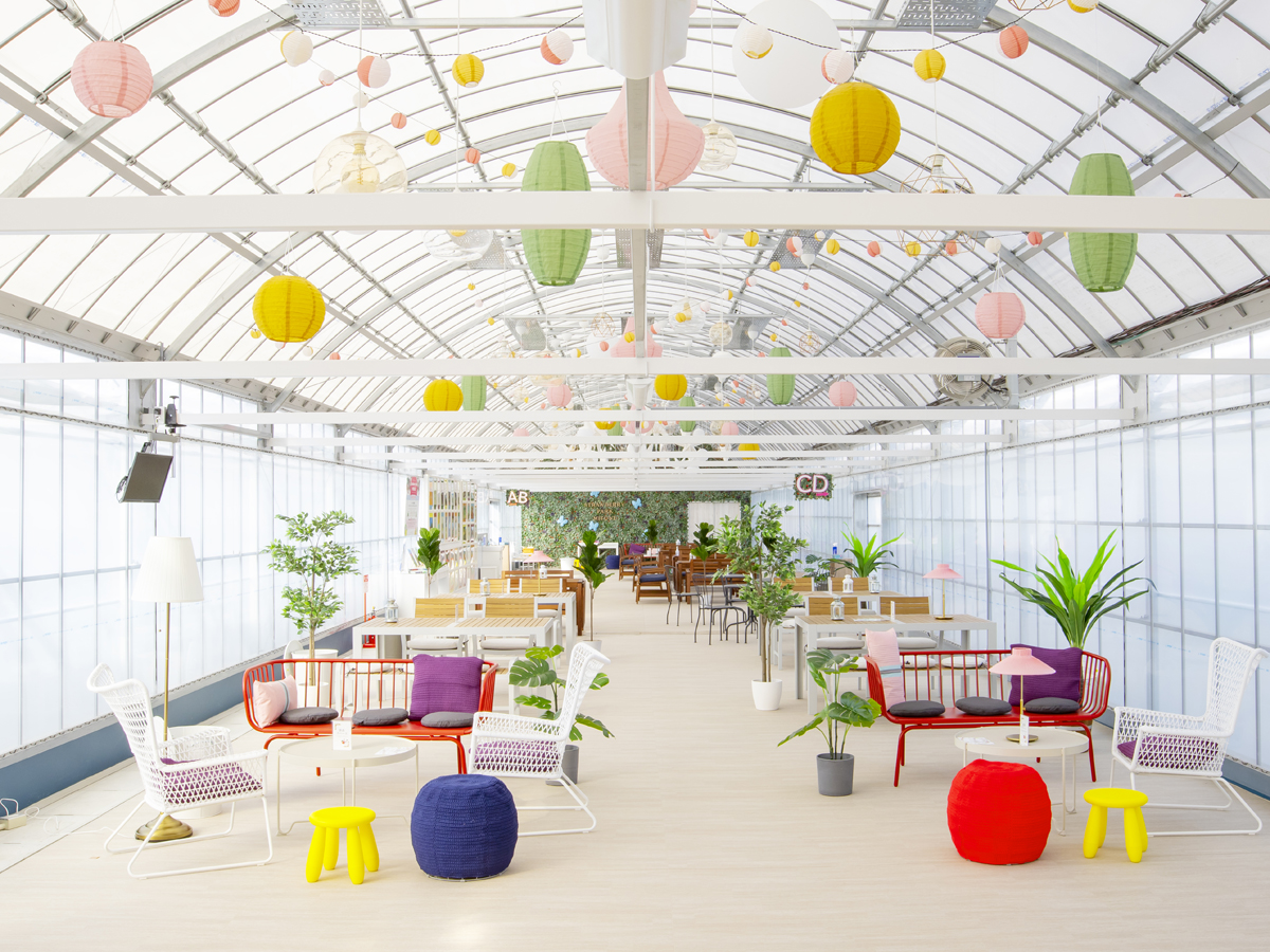 Strawberry Park MIFUNE