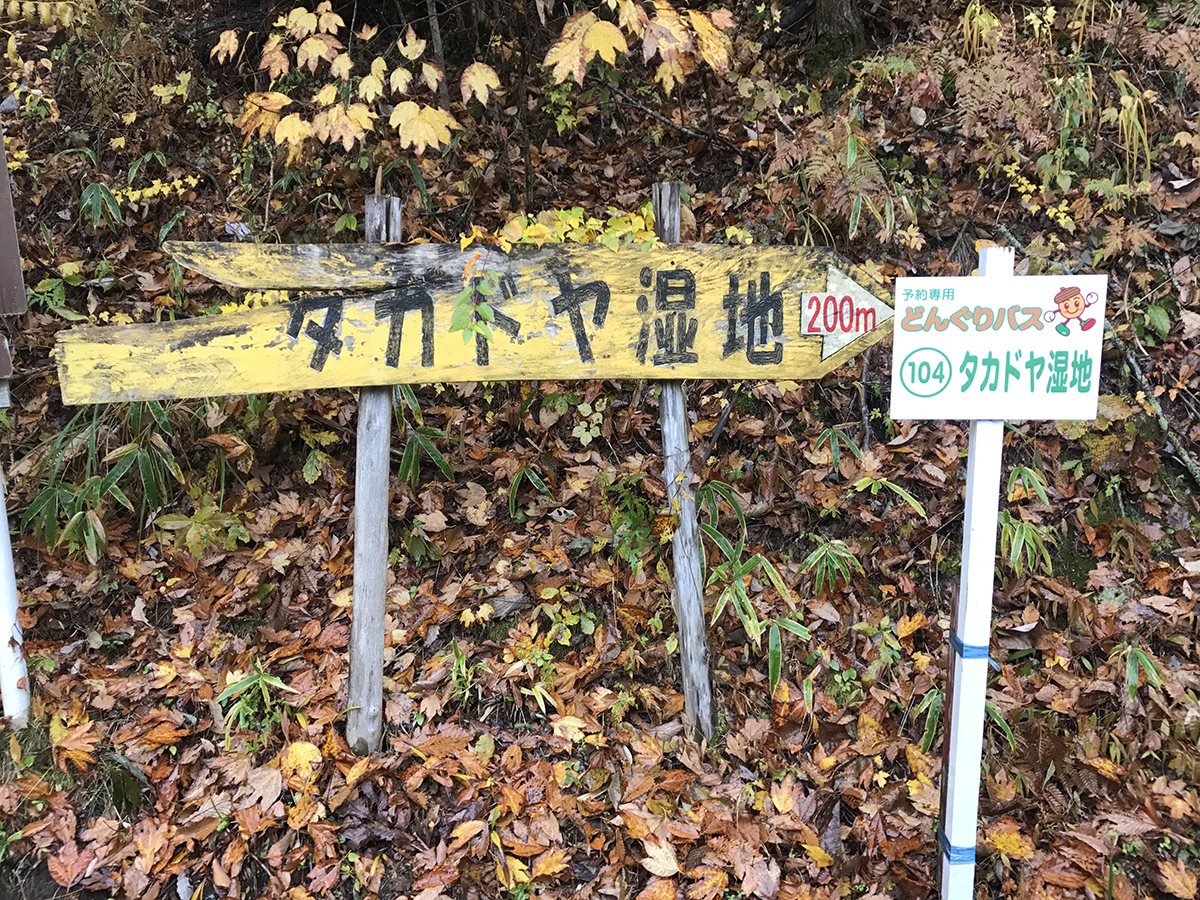 タカドヤ湿地 もみじまつり