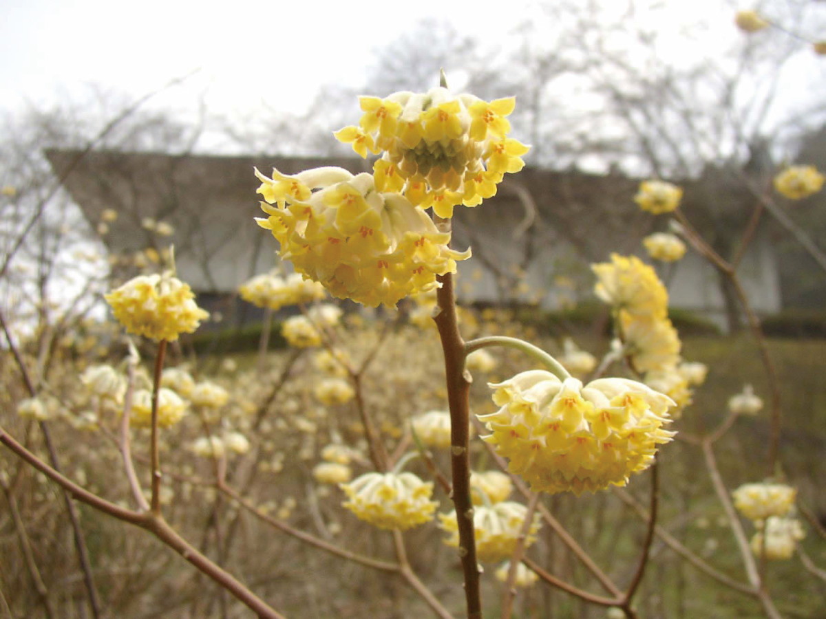 おばら四季の回廊