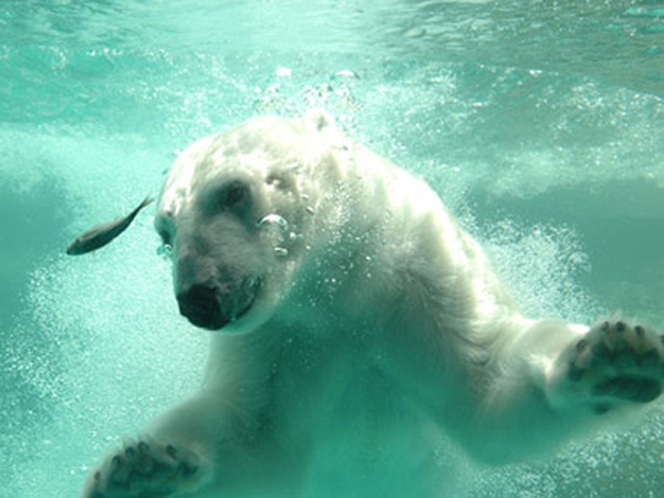 도요하시 종합 동식물 공원(논호이 파크)