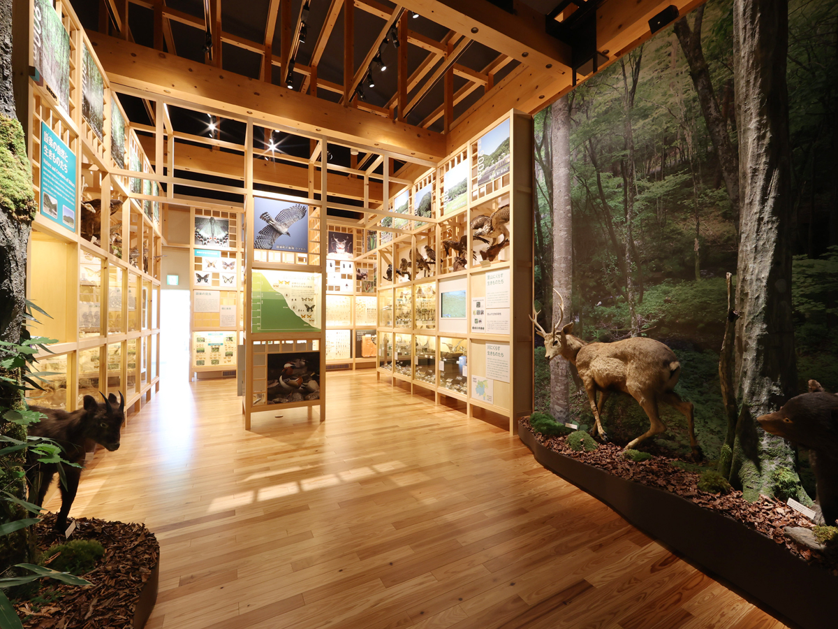 Okumikawa Museum of Local History