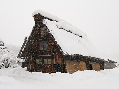 Meitetsu Kanko Bus - Dragons Pack Bus Tour - A One-Day Round Trip to Shirakawa-go!