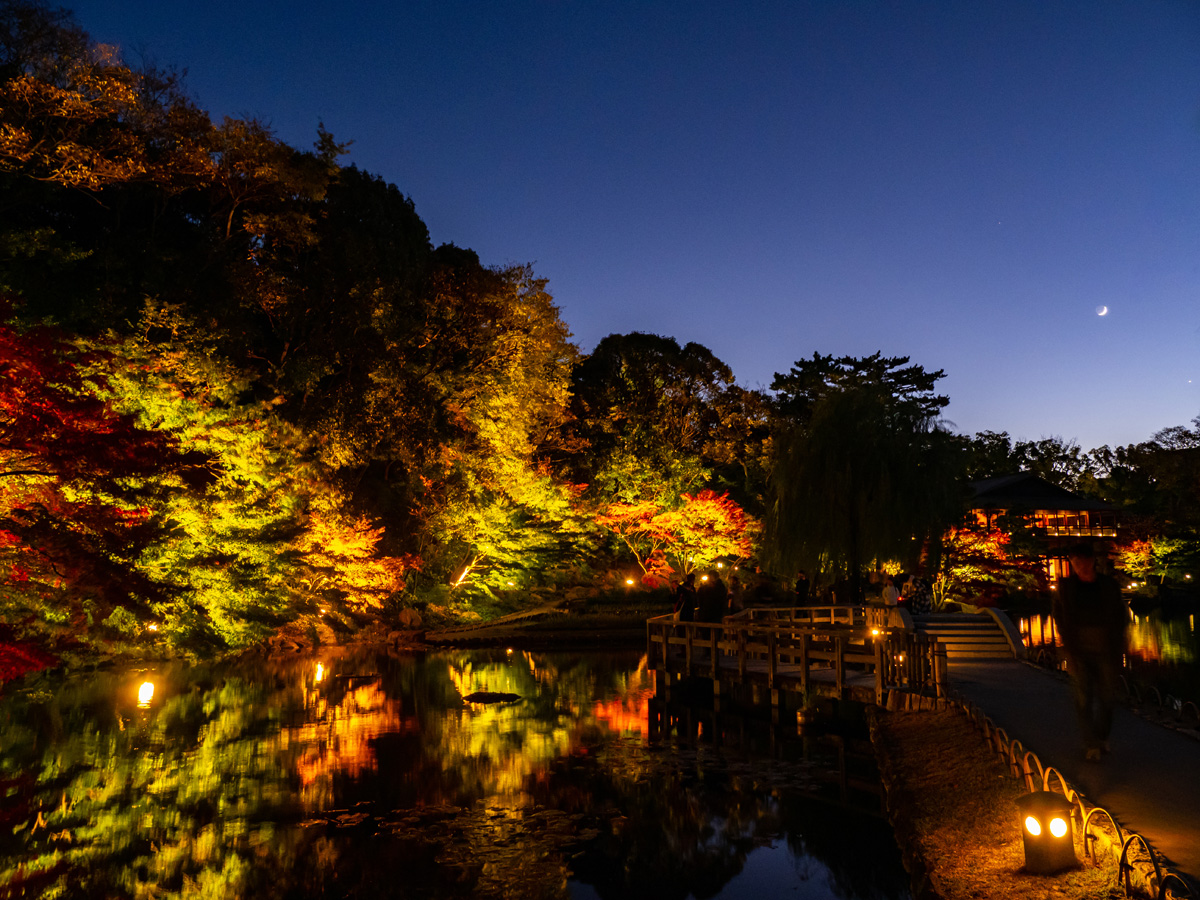 錦を纏う　徳川園　紅葉祭