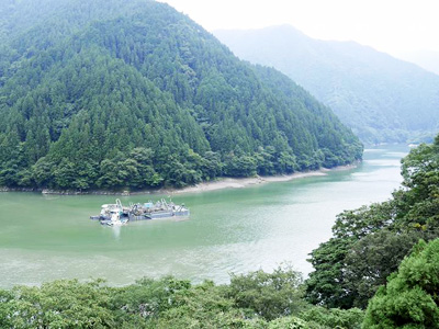 ようこそ、不思議ワールドへ　愛知の秘境・とみやまトリップ