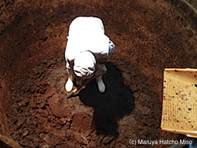 Miso, the Secret Weapon of the Samurai of Aichi