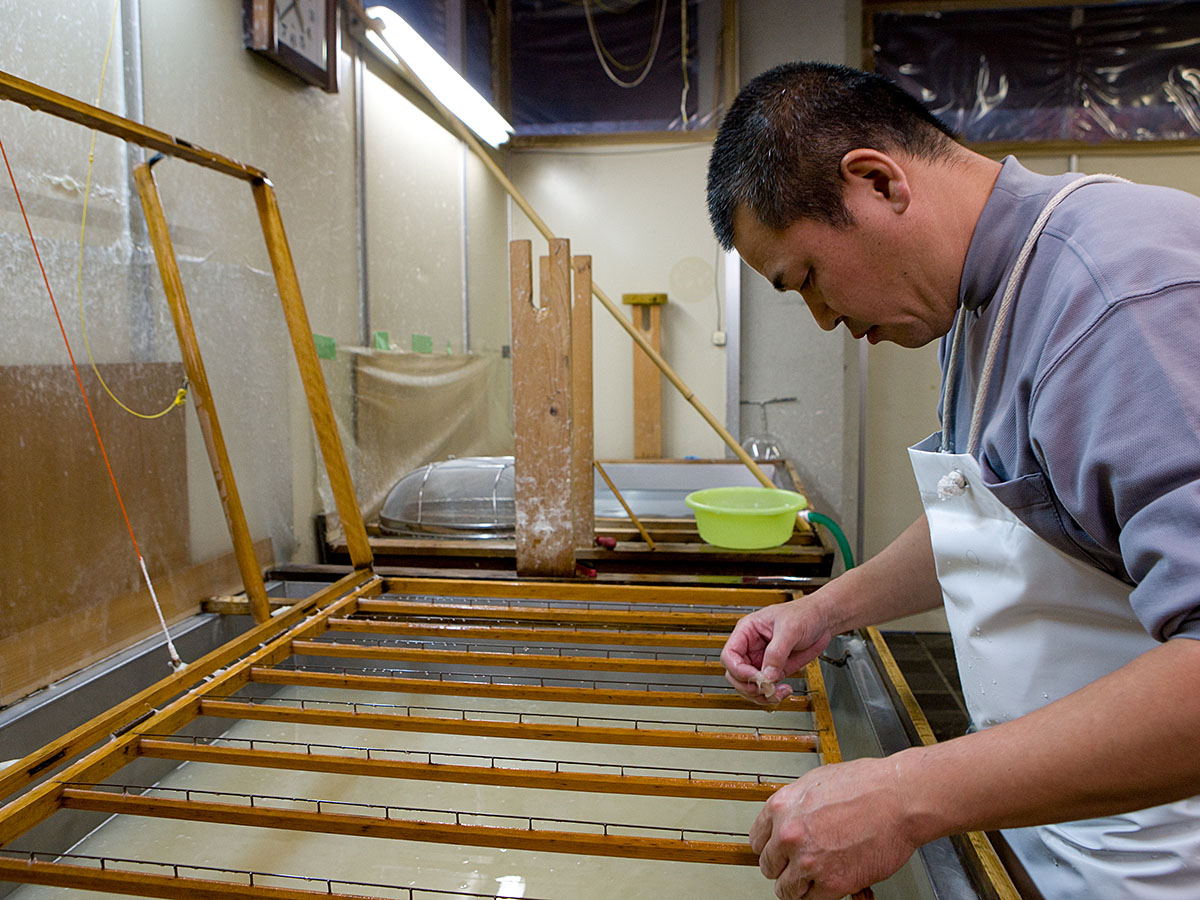 Cherry Blossom and Autumn Leaves Together? Only in Aichi’s Obara! - Four-Seasons Cherry Blossoms & Traditional Washi Paper